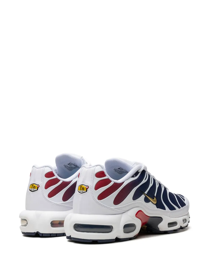 Nike Air Max Plus TN PSG