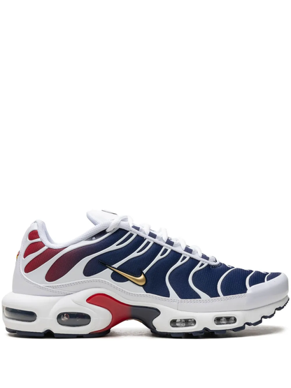 Nike Air Max Plus TN PSG