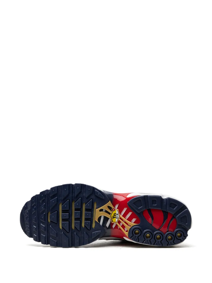 Nike Air Max Plus TN PSG