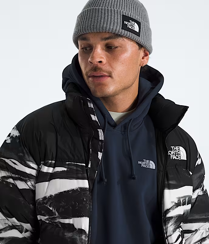 The North Face Hoodie Evolution Simple Dome